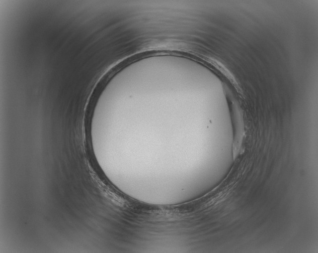 X0000075350980200610061716