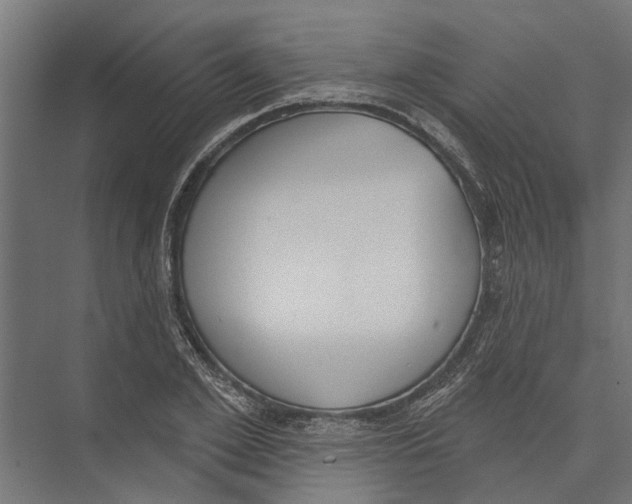 X0000075350981200610061716