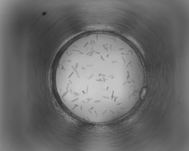 X0000075350983200610061716