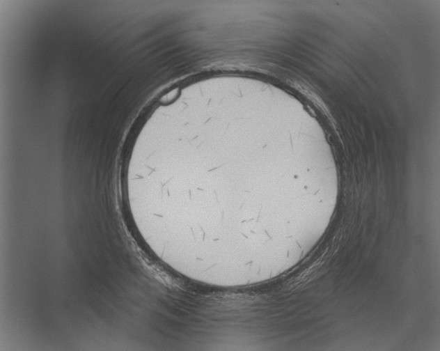 X0000075350984200610061716