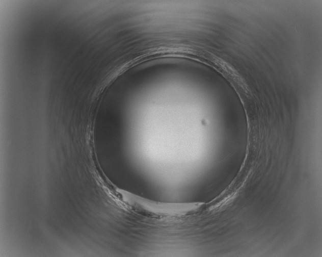 X0000075350985200610061716