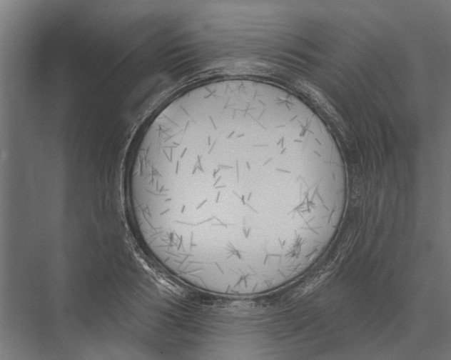 X0000075350986200610061716