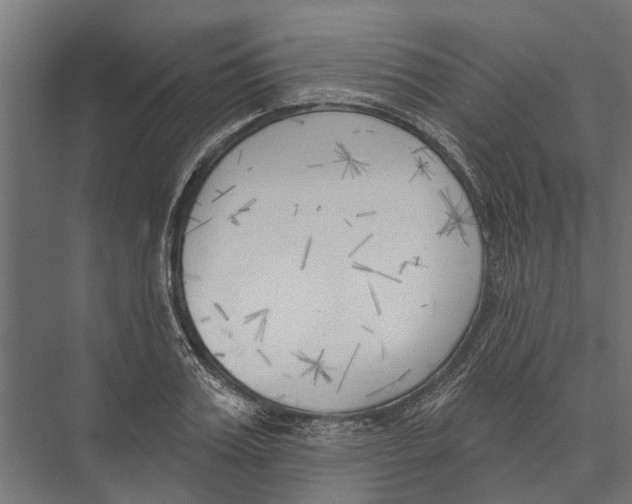 X0000075350987200610061716