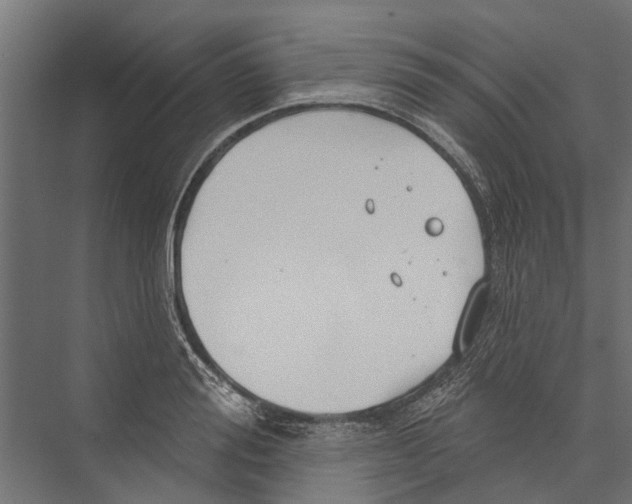 X0000075350988200610061716