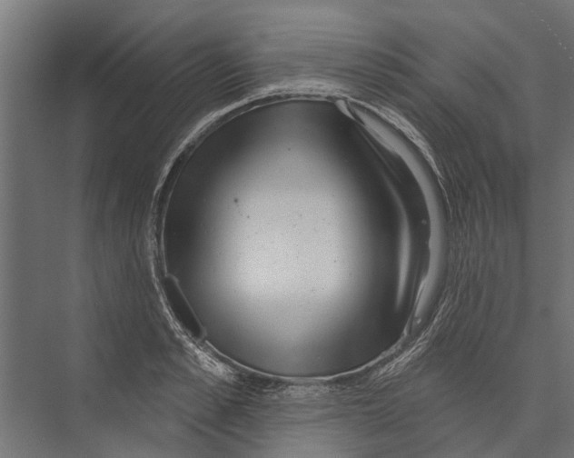 X0000075350989200610061716