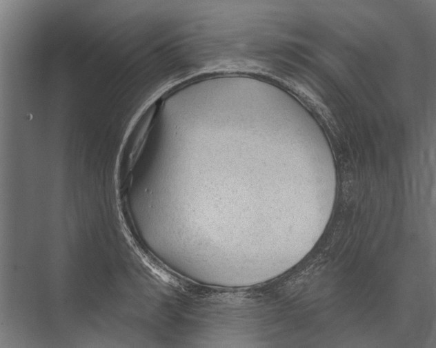 X0000075350990200610061716