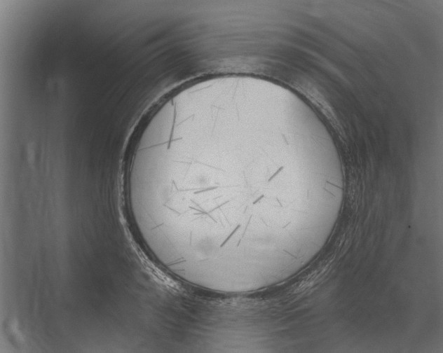 X0000075350992200610061716