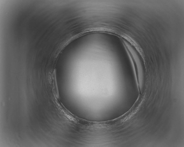 X0000075350993200610061716