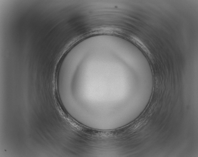 X0000075350994200610061716