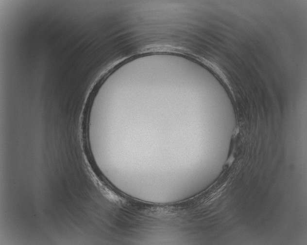 X0000075350995200610061716