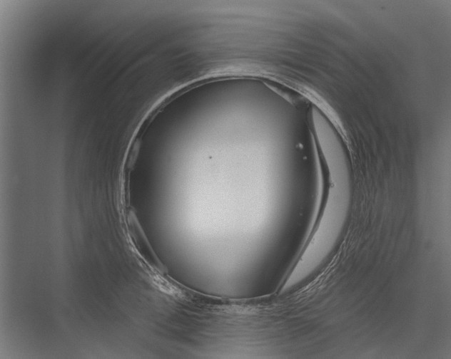 X0000075350996200610061716