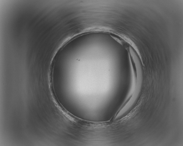 X0000075350997200610061716