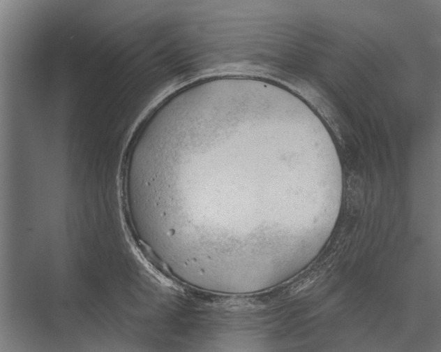 X0000075350998200610061716