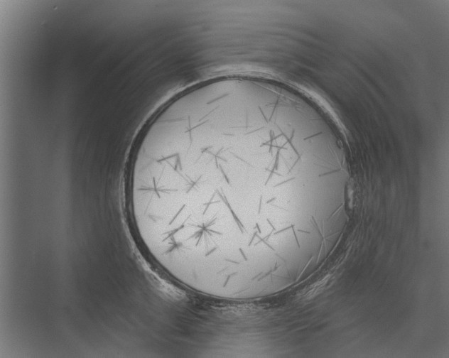 X0000075350999200610061716