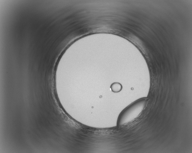 X0000075351000200610061716