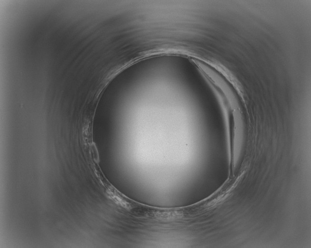 X0000075351001200610061716