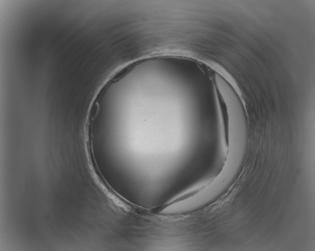 X0000075351005200610061716