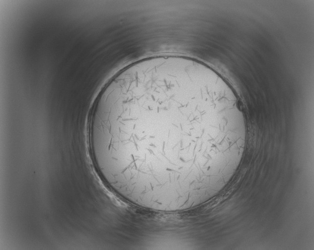 X0000075351006200610061716