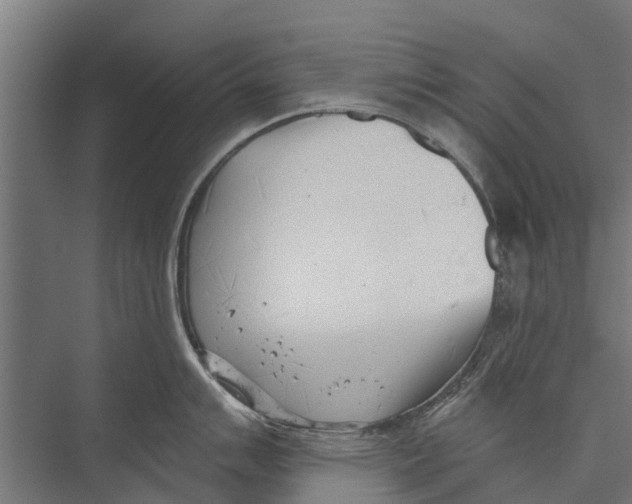 X0000075351007200610061716