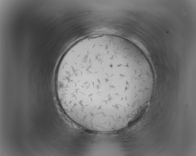 X0000075351008200610061716