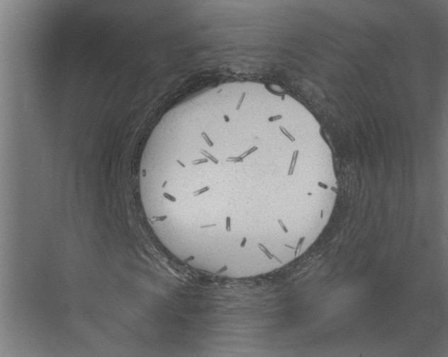 X0000075351009200610061715