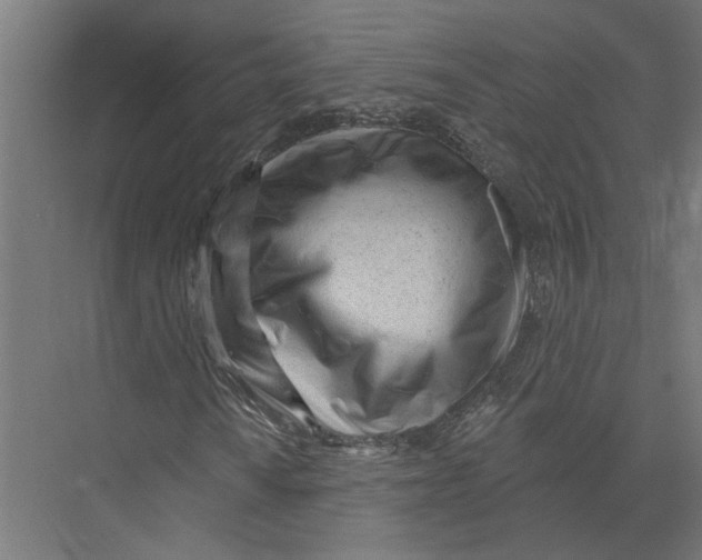 X0000075351010200610061715