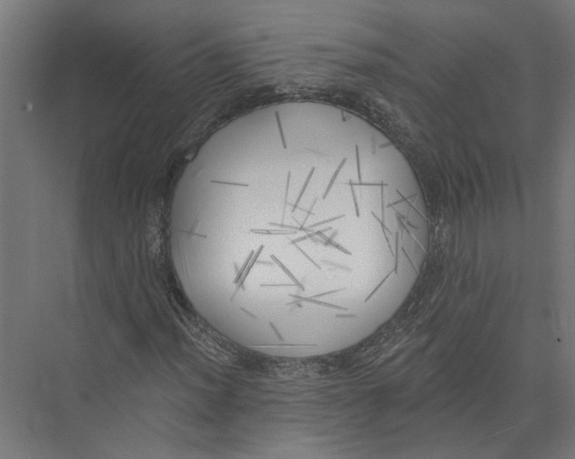 X0000075351012200610061715