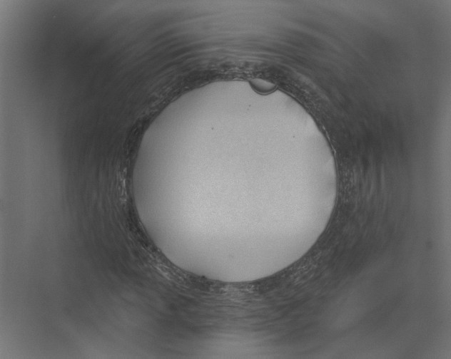 X0000075351013200610061715