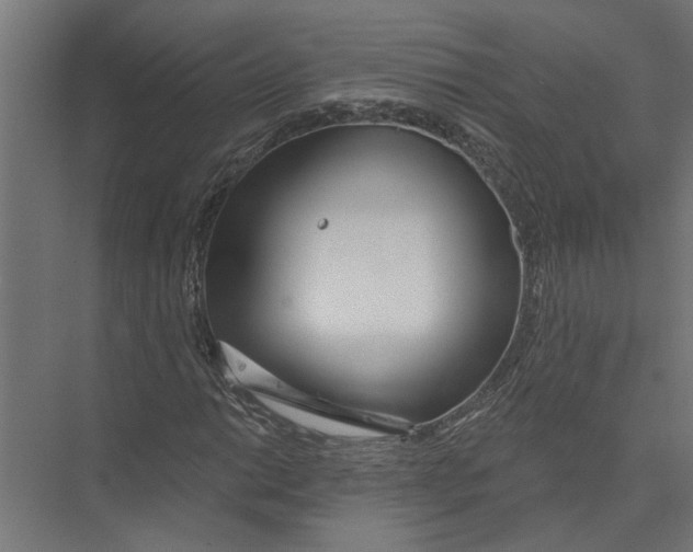 X0000075351014200610061715