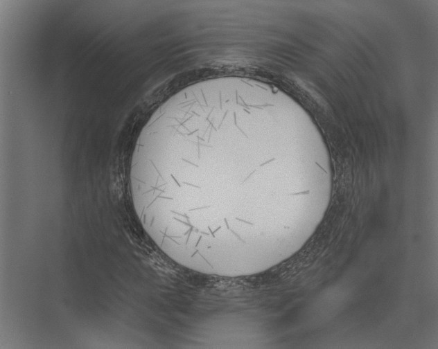 X0000075351015200610061715