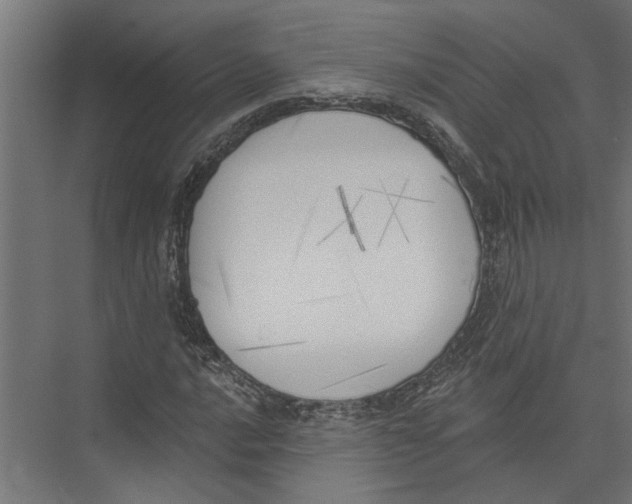 X0000075351016200610061715