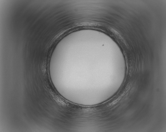 X0000075351017200610061715