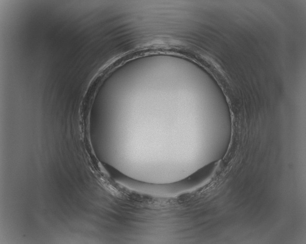 X0000075351018200610061715