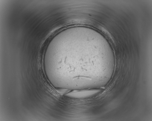 X0000075351019200610061715