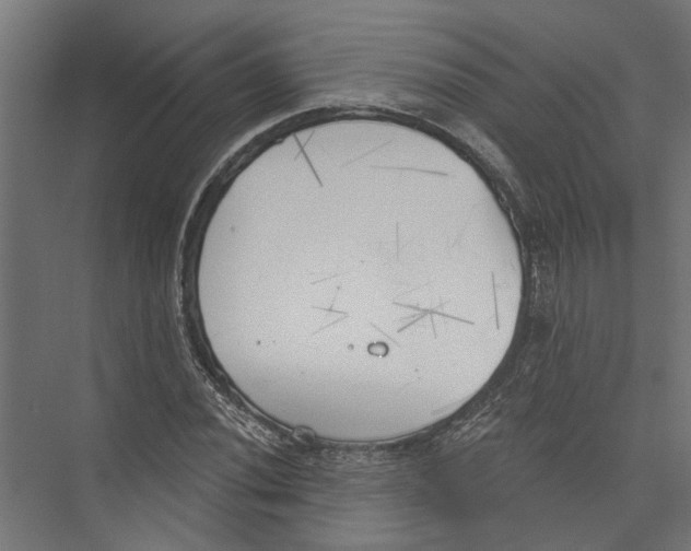 X0000075351020200610061715