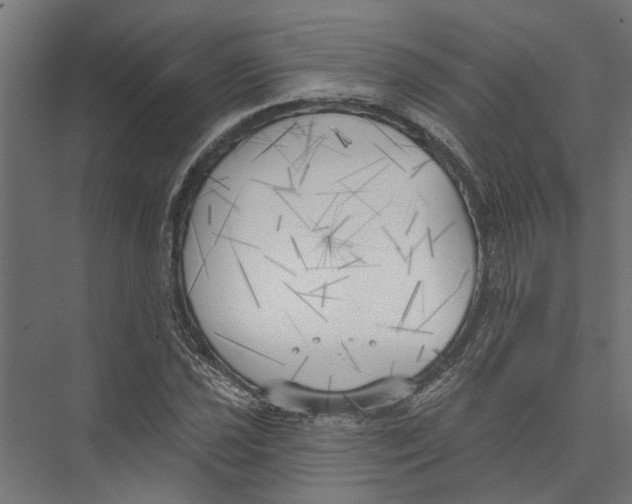 X0000075351021200610061715