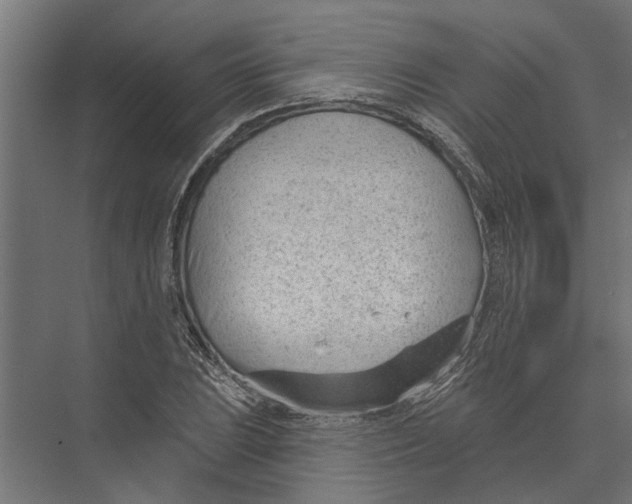 X0000075351023200610061715