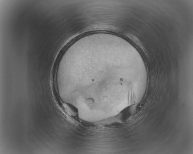 X0000075351024200610061715