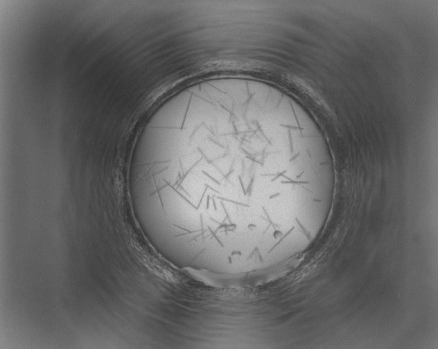 X0000075351025200610061715