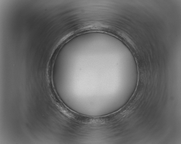 X0000075351026200610061715