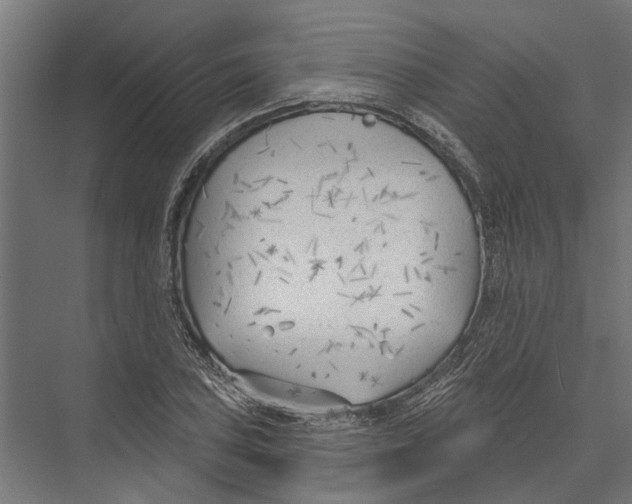 X0000075351027200610061715