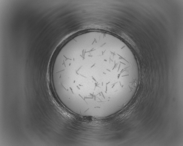 X0000075351028200610061715