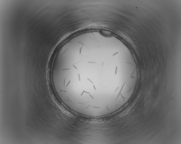 X0000075351029200610061715