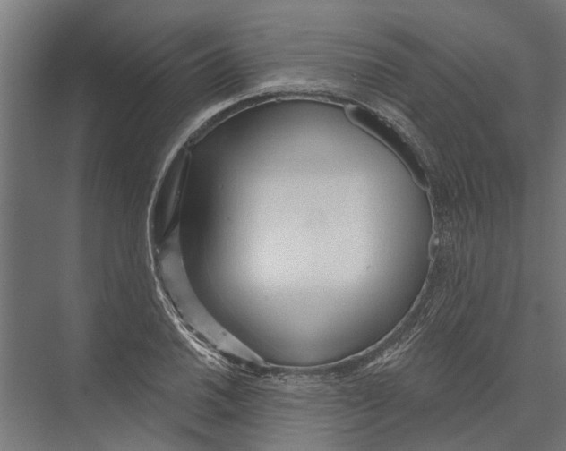 X0000075351030200610061715