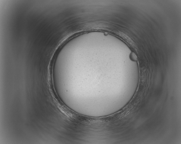 X0000075351031200610061715