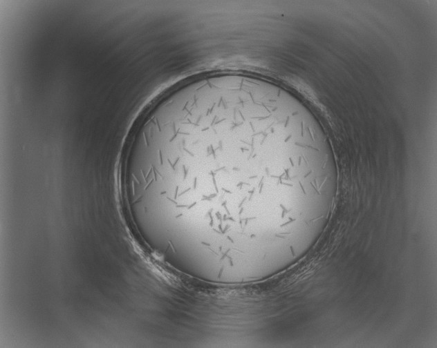 X0000075351032200610061715