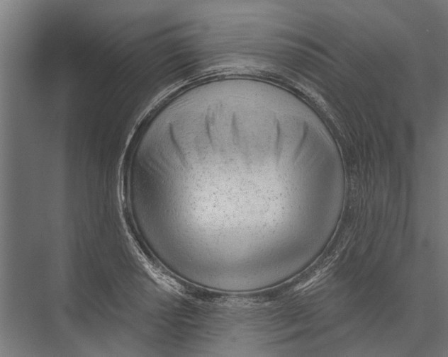 X0000075351034200610061715