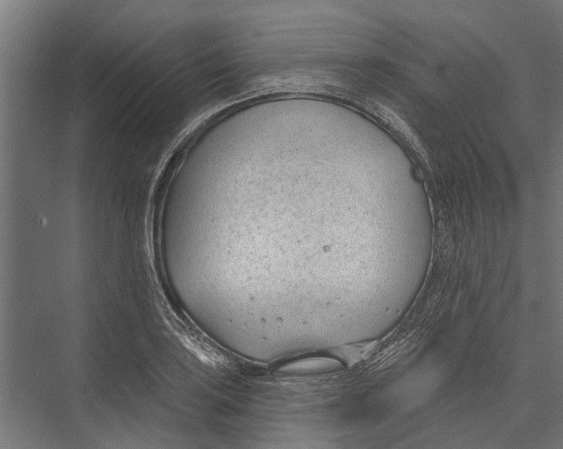 X0000075351035200610061715