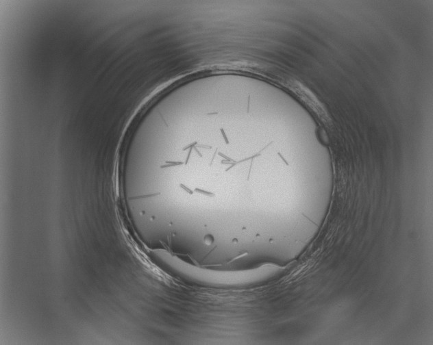 X0000075351036200610061715