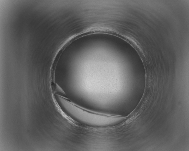 X0000075351038200610061715